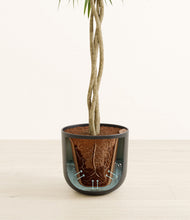 Load image into Gallery viewer, Stone Black stand:all
