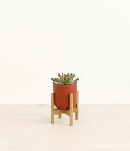 Load image into Gallery viewer, Earth Red stand:bamboo
