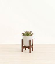 Load image into Gallery viewer, Natural Bamboo stand:walnut
