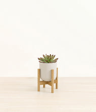 Load image into Gallery viewer, Natural Bamboo stand:bamboo
