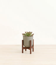 Load image into Gallery viewer, Sage Green stand:walnut
