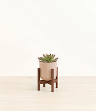Load image into Gallery viewer, Sandy Pink stand:walnut
