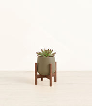 Load image into Gallery viewer, Olive stand:walnut
