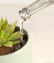 Load image into Gallery viewer, Turquoise stand:all
