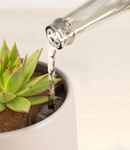 Load image into Gallery viewer, Eternal Gray stand:all
