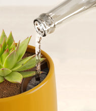 Load image into Gallery viewer, Mustard stand:all
