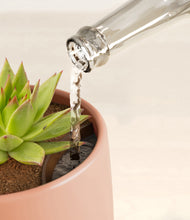 Load image into Gallery viewer, Calm Rose stand:all
