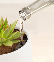 Load image into Gallery viewer, White stand:all
