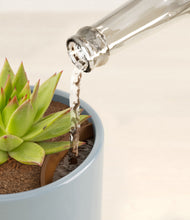 Load image into Gallery viewer, Misty Blue stand:all
