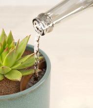 Load image into Gallery viewer, Reactive Aqua stand:all
