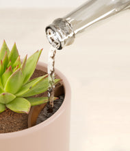 Load image into Gallery viewer, Sandy Pink stand:all
