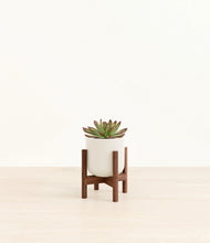 Load image into Gallery viewer, Cotton White stand:walnut
