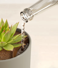 Load image into Gallery viewer, Sage Green stand:all
