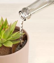 Load image into Gallery viewer, Sandy Pink stand:all
