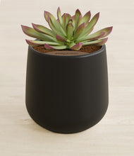 Load image into Gallery viewer, Black stand:all
