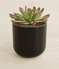 Load image into Gallery viewer, Stone Black stand:all
