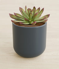 Load image into Gallery viewer, Iron Gray stand:all
