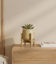 Load image into Gallery viewer, Almond Green stand:bamboo
