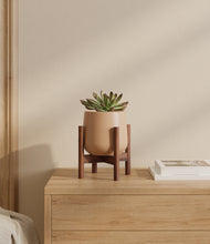 Load image into Gallery viewer, Gentle Pink stand:walnut
