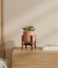 Load image into Gallery viewer, Calm Rose stand:walnut
