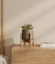 Load image into Gallery viewer, Olive stand:bamboo
