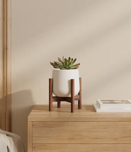 Load image into Gallery viewer, White stand:walnut
