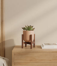 Load image into Gallery viewer, Sandy Pink stand:walnut
