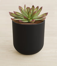 Load image into Gallery viewer, Stone Black stand:all
