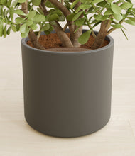 Load image into Gallery viewer, Dark Olive stand:all
