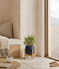 Load image into Gallery viewer, Deep Navy stand:bamboo
