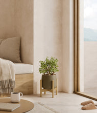 Load image into Gallery viewer, Olive stand:bamboo
