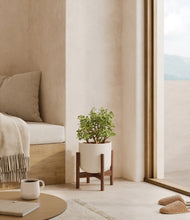 Load image into Gallery viewer, Natural Bamboo stand:walnut
