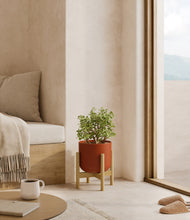 Load image into Gallery viewer, Earth Red stand:bamboo
