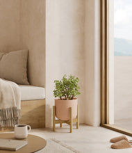 Load image into Gallery viewer, Sandy Pink stand:bamboo
