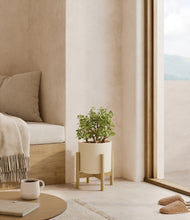 Load image into Gallery viewer, Cream stand:bamboo
