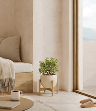 Load image into Gallery viewer, Shiny EggWhite stand:bamboo
