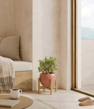 Load image into Gallery viewer, Calm Rose stand:bamboo

