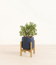 Load image into Gallery viewer, Deep Navy stand:bamboo
