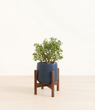 Load image into Gallery viewer, Deep Navy stand:walnut
