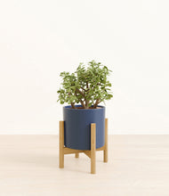 Load image into Gallery viewer, Deep Navy stand:bamboo
