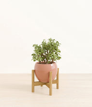 Load image into Gallery viewer, Calm Rose stand:bamboo

