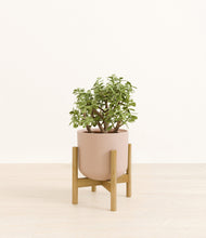 Load image into Gallery viewer, Sandy Pink stand:bamboo
