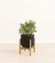 Load image into Gallery viewer, Stone Black stand:bamboo
