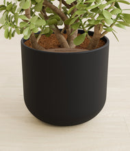 Load image into Gallery viewer, Stone Black stand:all
