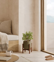 Load image into Gallery viewer, Olive stand:walnut
