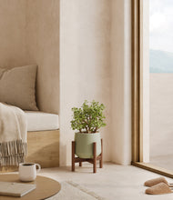 Load image into Gallery viewer, Turquoise stand:walnut

