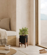 Load image into Gallery viewer, Stone Black stand:walnut
