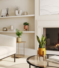 Load image into Gallery viewer, Evening Sky stand:two_stands
