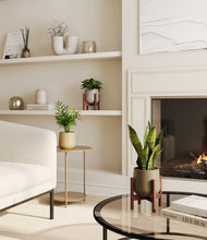 Load image into Gallery viewer, Woodland stand:two_stands
