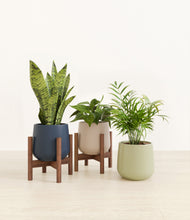 Load image into Gallery viewer, Winding River stand:two_stands
